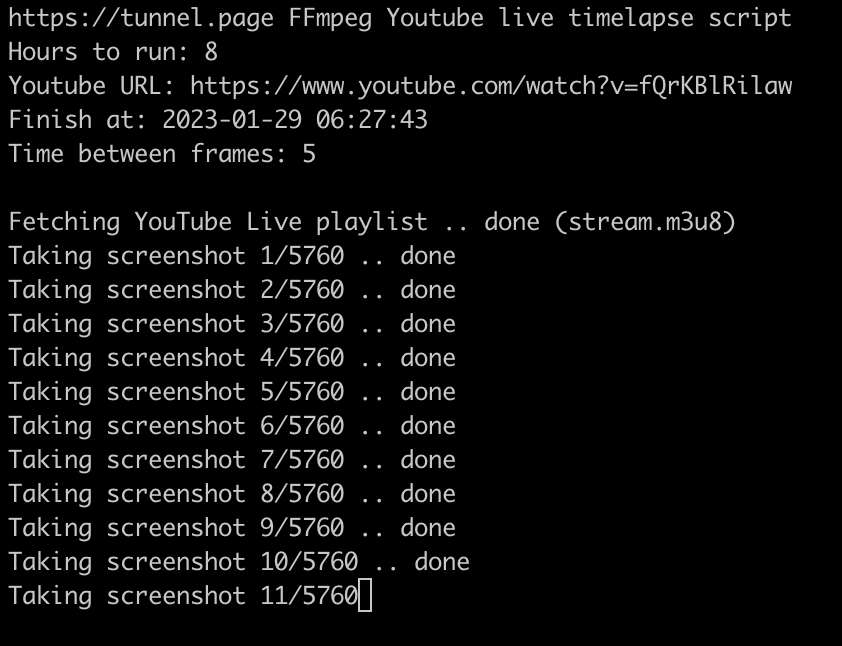youtube live timelapse bash script console output