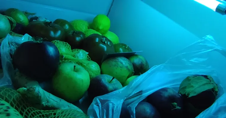 Make fruit and vegetables last longer with a UVC light