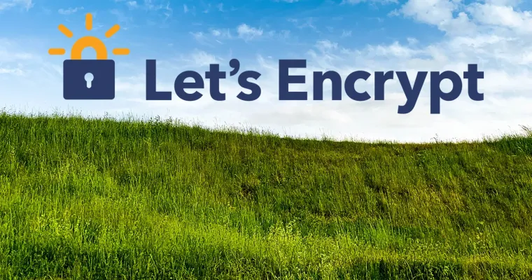 Automatically renew Let's encrypt wildcard certificates